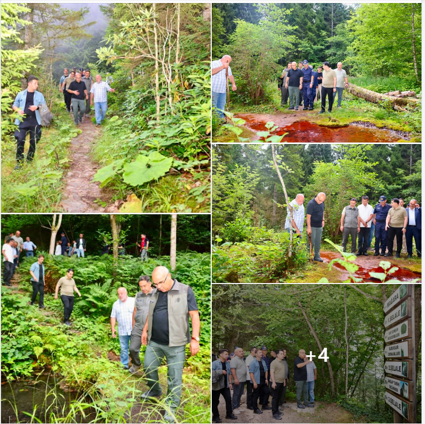 Giresun Valisi Mustafa Koç, Kuzalan Tabiat Parkı’nda incelemelerde bulundu.. 