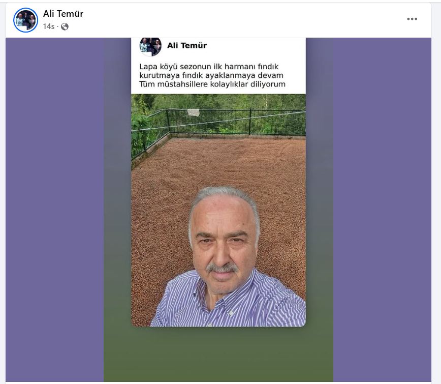 Fındık Harmanda, Üretici Darda; Çözüm Nerede Sayın Vekil?  
